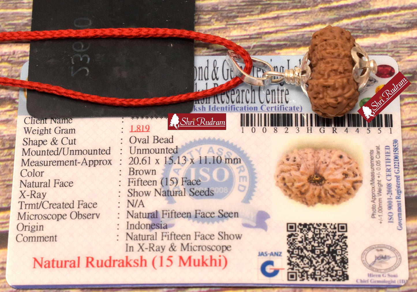 ShriRudram 15 Mukhi Rudraksha / Fifteen Face Rudraksh Java Bead Lab Certified 20.61 MM