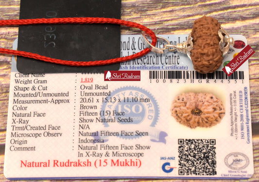 ShriRudram 15 Mukhi Rudraksha / Fifteen Face Rudraksh Java Bead Lab Certified 20.61 MM