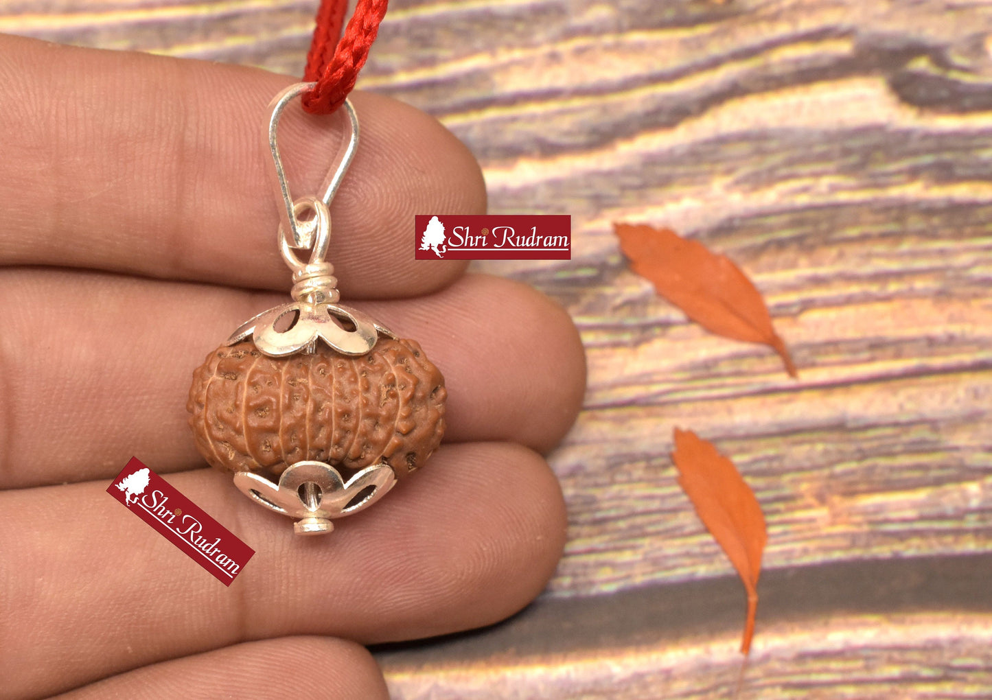 ShriRudram 15 Mukhi Rudraksha / Fifteen Face Rudraksh Java Bead Lab Certified 20.25 MM