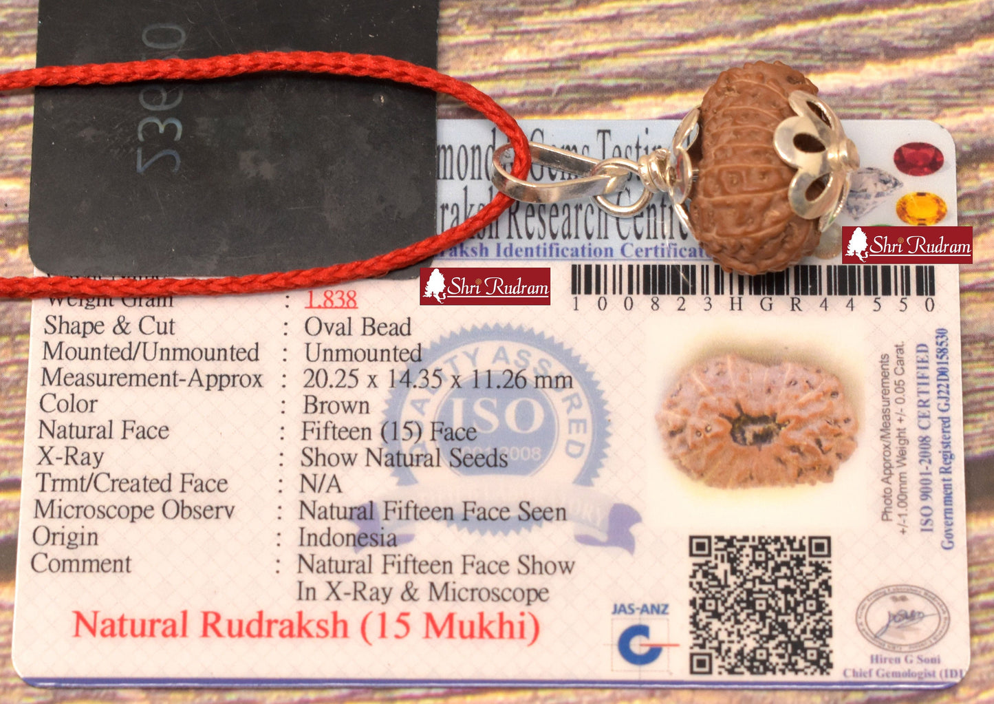 ShriRudram 15 Mukhi Rudraksha / Fifteen Face Rudraksh Java Bead Lab Certified 20.25 MM