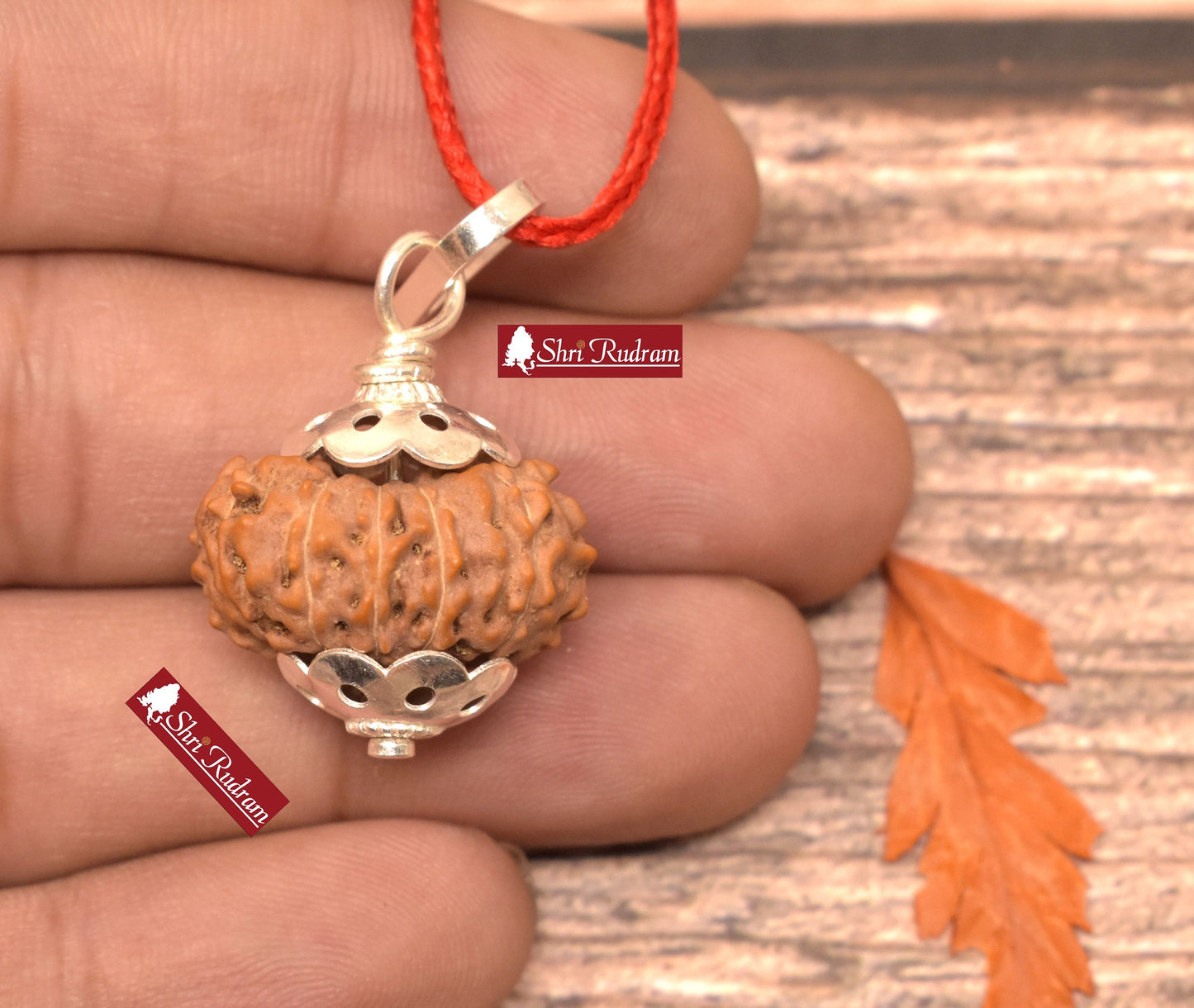 ShriRudram 12 Mukhi Rudraksha / Twelve Face Rudraksh Java Bead Lab Certified 21.58 MM