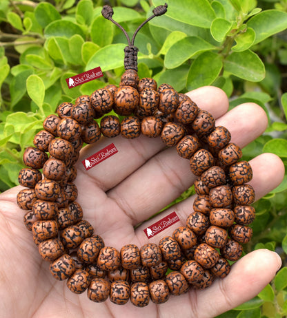 ShriRudram 108 Natural Aged Brown Rudraksha Seed Mala Prayer Beads, Sacred Rudraksha Japa Mala, Buddhist Necklace, Rudraksha Beads