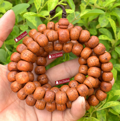 ShriRudram Natural 108 One Eye Tibetan Bodhi Seed Mala, Tibetan Buddhist Meditation Rosary, Japa Mala, Yoga Prayer Mala, Nepali Bodhi Seed