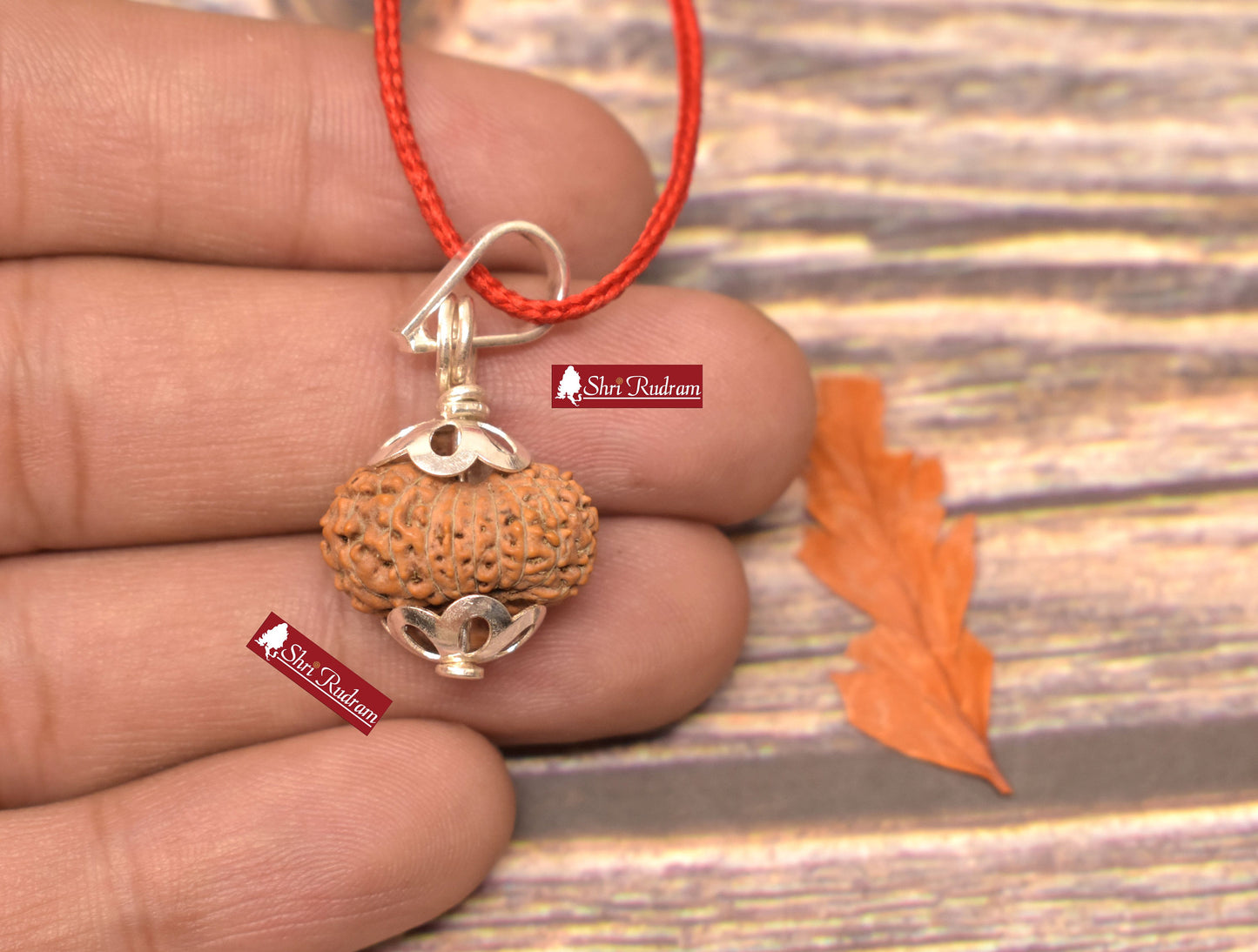 ShriRudram 18 MUkhi Rudraksha / Eighteen Face Rudraksh Java Bead Lab Certified 17.88 MM