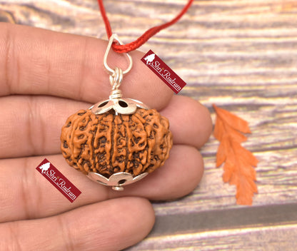 ShriRudram 12 Mukhi Rudraksha / Twelve Face Rudraksh Nepal Bead Lab Certified 30.75 MM