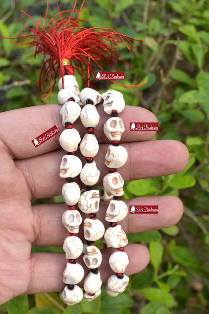ShriRudram Skull Mala, Skull Necklace, Mala Beads, Yoga Gifts, Shiva  Kapala Prayer Beads, Kali Mala, Mund Mala 108+1 Breads