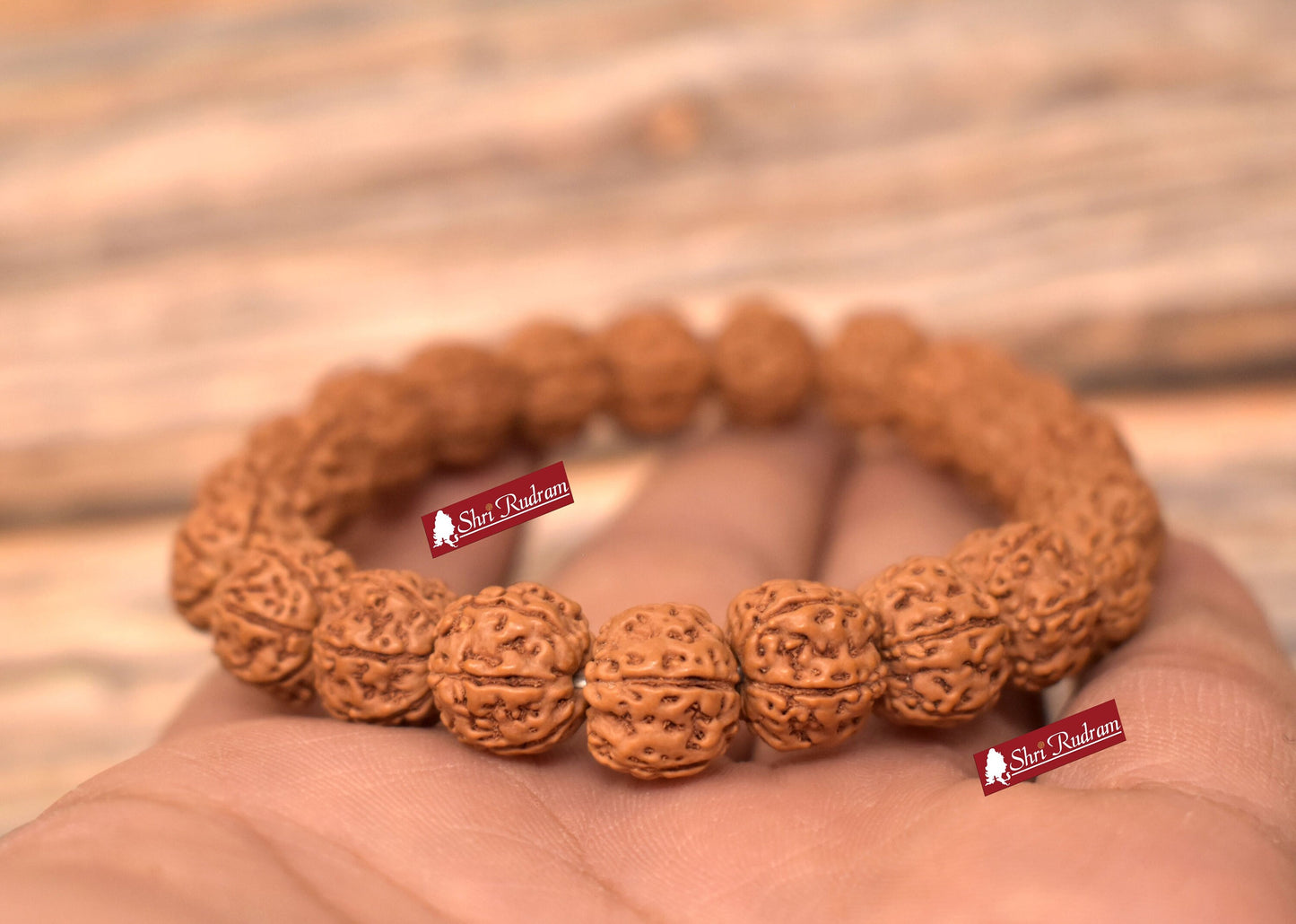 ShriRudram 6 Mukhi Rudraksha Bracelet Lab Certified , Shiva Bracelet, Yoga Bracelet, Six Faced Rudraksha Bracelet 11 MM