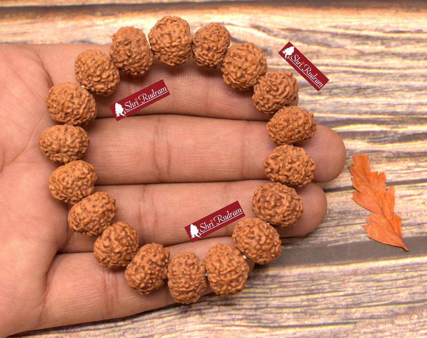 Shri Rudram 8 Mukhi Rudraksha Bracelet / Eight Face Rudraksh Wristlet Java Lab Certified 13 MM