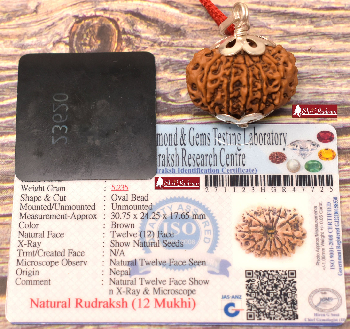 ShriRudram 12 Mukhi Rudraksha / Twelve Face Rudraksh Nepal Bead Lab Certified 30.75 MM