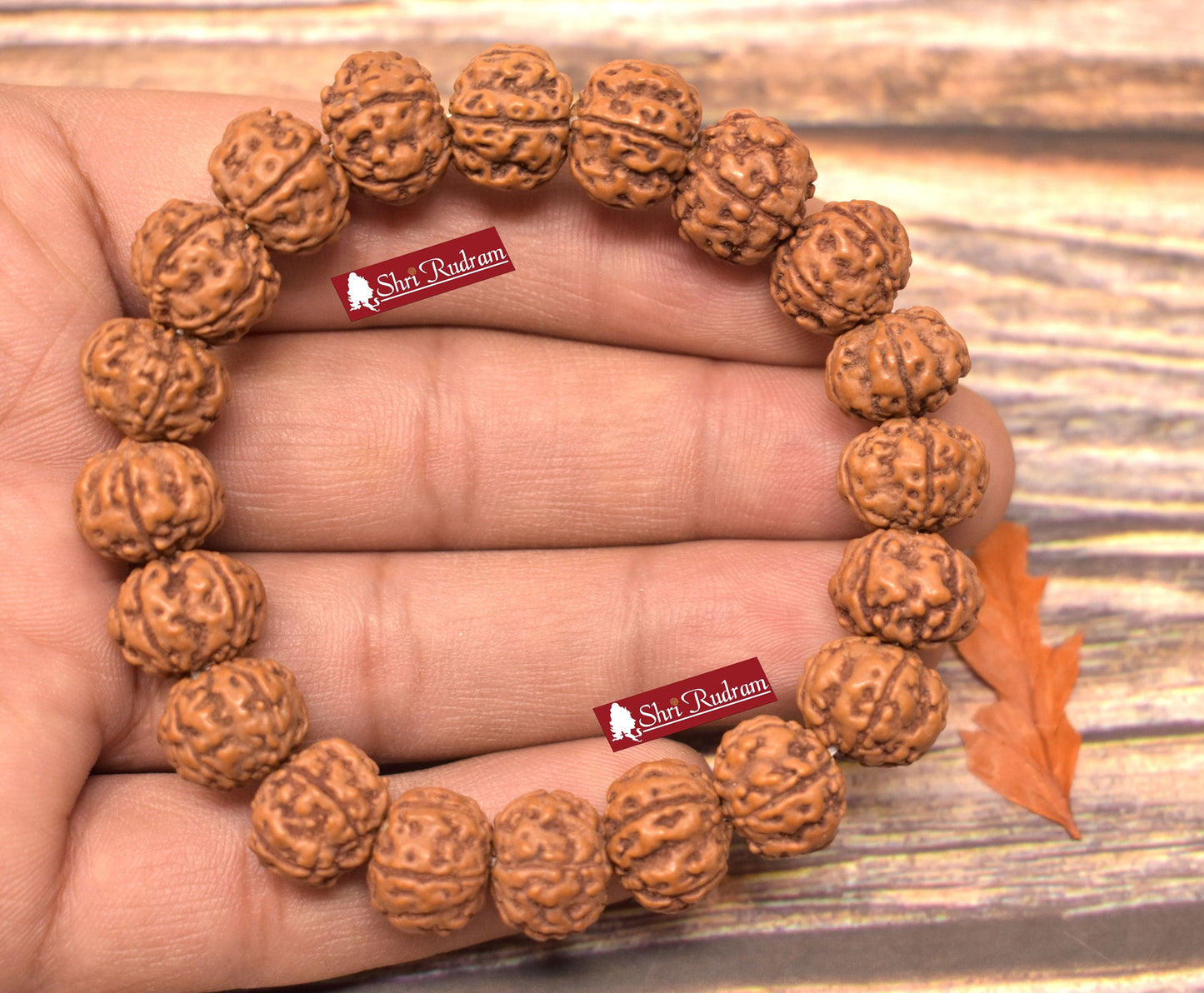 ShriRudram 5 Mukhi Rudraksha Bracelet 12mm -Lab Certified, Spiritual Gifts, Five Faced Rudraksha Bracelet 5 Face Rudraksha Shiva bracelet