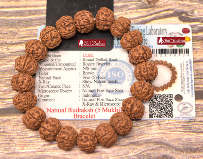 ShriRudram 5 Mukhi Rudraksha Bracelet 12mm -Lab Certified, Spiritual Gifts, Five Faced Rudraksha Bracelet 5 Face Rudraksha Shiva bracelet