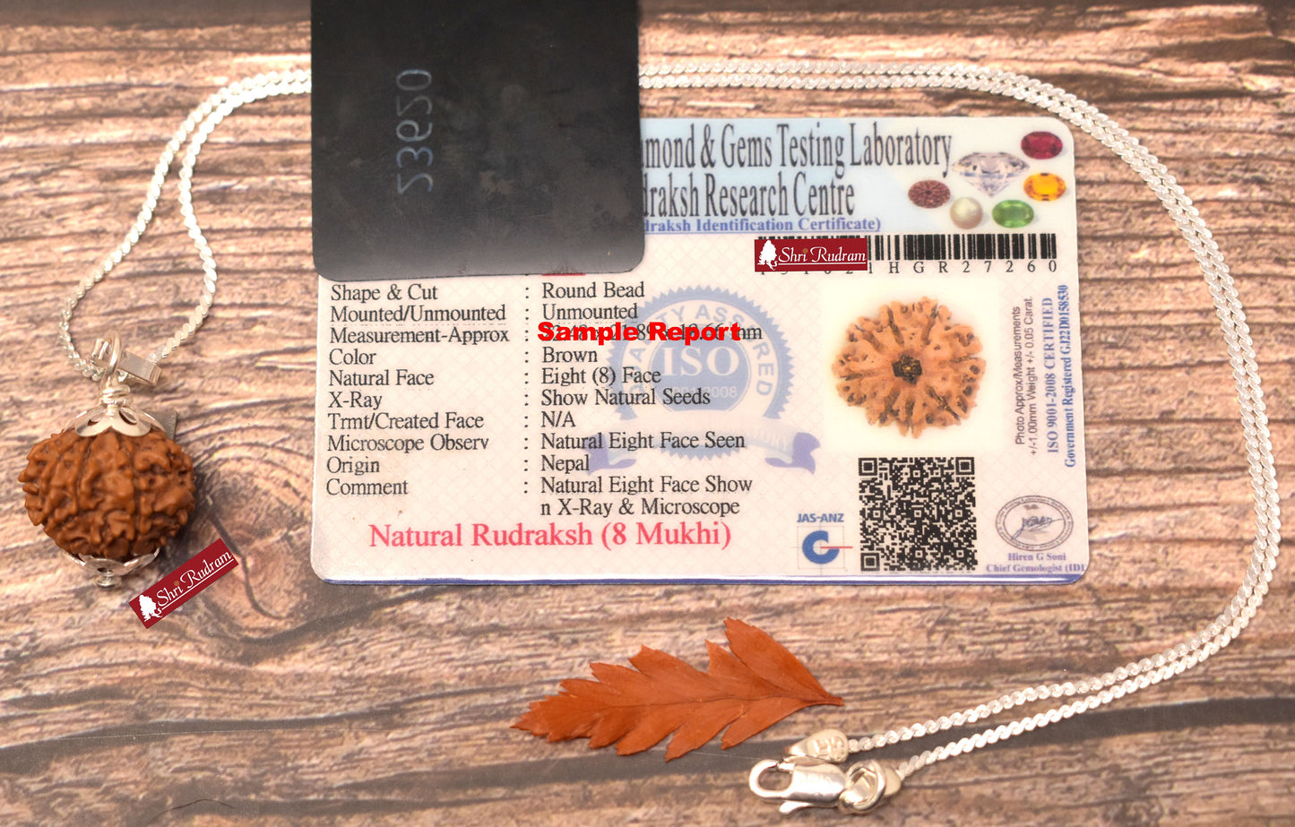 ShriRudram 8 Mukhi Rudraksha / Eight Face Rudraksh Nepal Bead in Pure Silver Chain Lab Certified D2