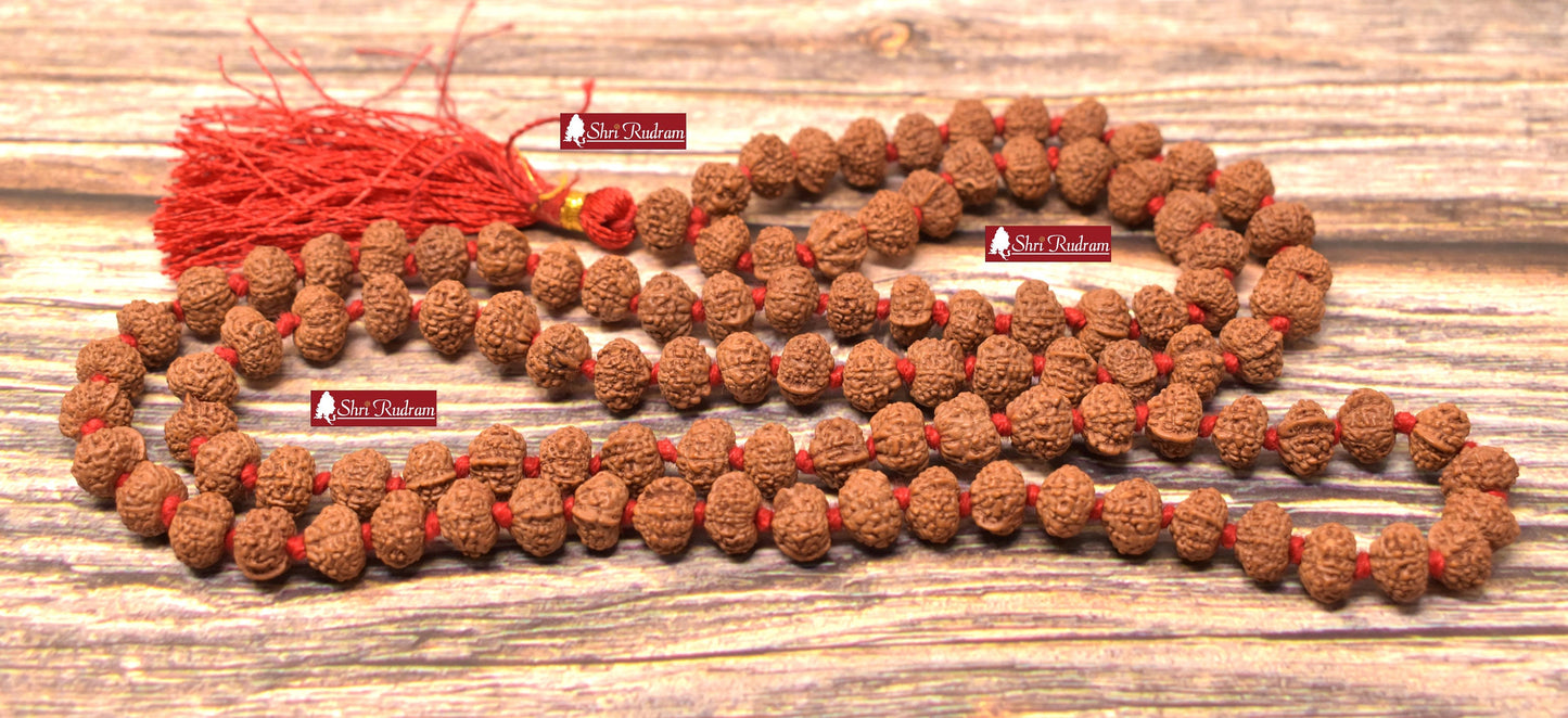 ShriRudram Ganesh Rudraksha Mala / Ganesha Rudraksh Rosary 108+1 Beads  Lab Certified 9-10 MM