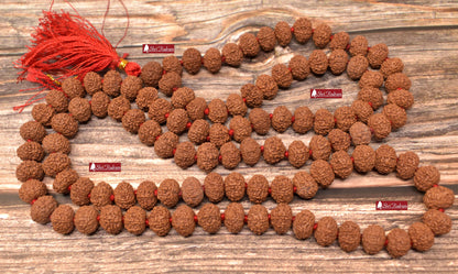 ShriRudram 10 Mukhi Rudraksha Mala / Ten Face Rudraksh Rosary Java Lab Certified 12 - 13 MM