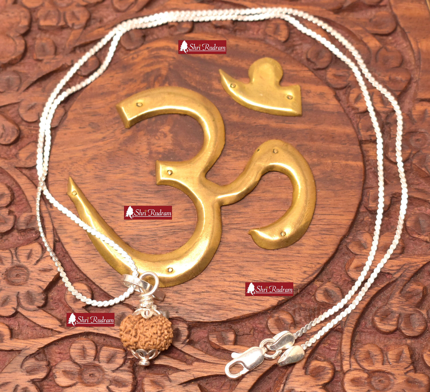 ShriRudram 8 Mukhi Rudraksha Eight Face Rudraksh Java Bead Lab Certified in Silver Chain