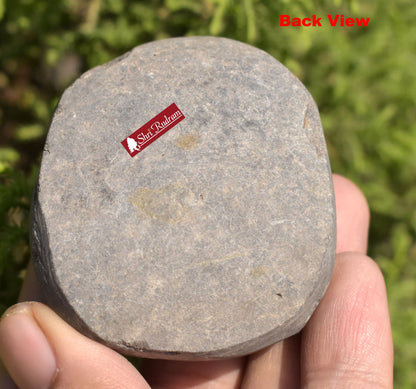 ShriRudram White Yellow Sudarshan Shaligram Sudershan Saligram Stone Gandaki Nepal SNS115