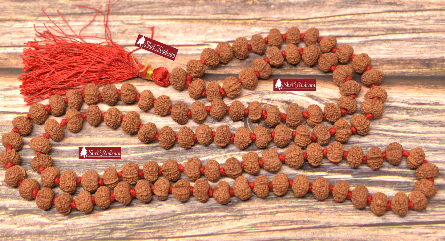 ShriRudram Ganesh Rudraksha Mala / Ganesha Rudraksh Rosary 108+1 Beads  Lab Certified 9-10 MM