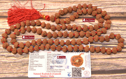 ShriRudram Ganesh Rudraksha Mala / Ganesha Rudraksh Rosary 108+1 Beads  Lab Certified 9-10 MM