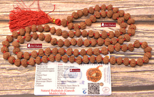 ShriRudram Ganesh Rudraksha Mala / Ganesha Rudraksh Rosary 108+1 Beads  Lab Certified 9-10 MM