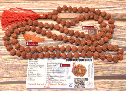 ShriRudram Ganesh Rudraksha Mala / Ganesha Rudraksh Rosary 108+1 Beads  Lab Certified 9 MM