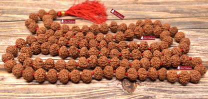 ShriRudram 10 Mukhi Rudraksha Mala / Ten Face Rudraksh Rosary Java Lab Certified 12-13 MM D82