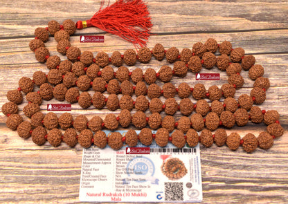 ShriRudram 10 Mukhi Rudraksha Mala / Ten Face Rudraksh Rosary Java Lab Certified 12-13 MM D82