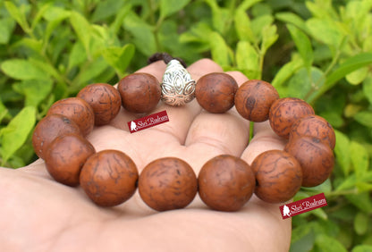 ShriRudram Antique Phoenix  Eye Bodhi Seed Bracelet , Dark Brown Tibetan One Eye Bodhi Seed , Japa Wristlet- Dark Bodhi Seed , Tibeti 14 MM