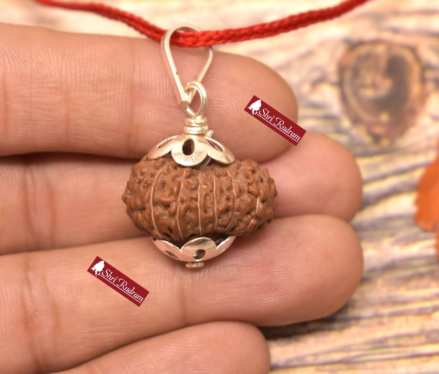 15 Mukhi Rudraksha Pendant - Lab Certified Spiritual Gifts, Yoga Pendant, Fifteen Face Rudraksha Pendant 22.65 MM