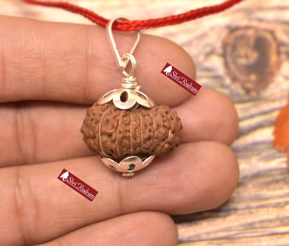 15 Mukhi Rudraksha Pendant - Lab Certified Spiritual Gifts, Yoga Pendant, Fifteen Face Rudraksha Pendant 22.65 MM