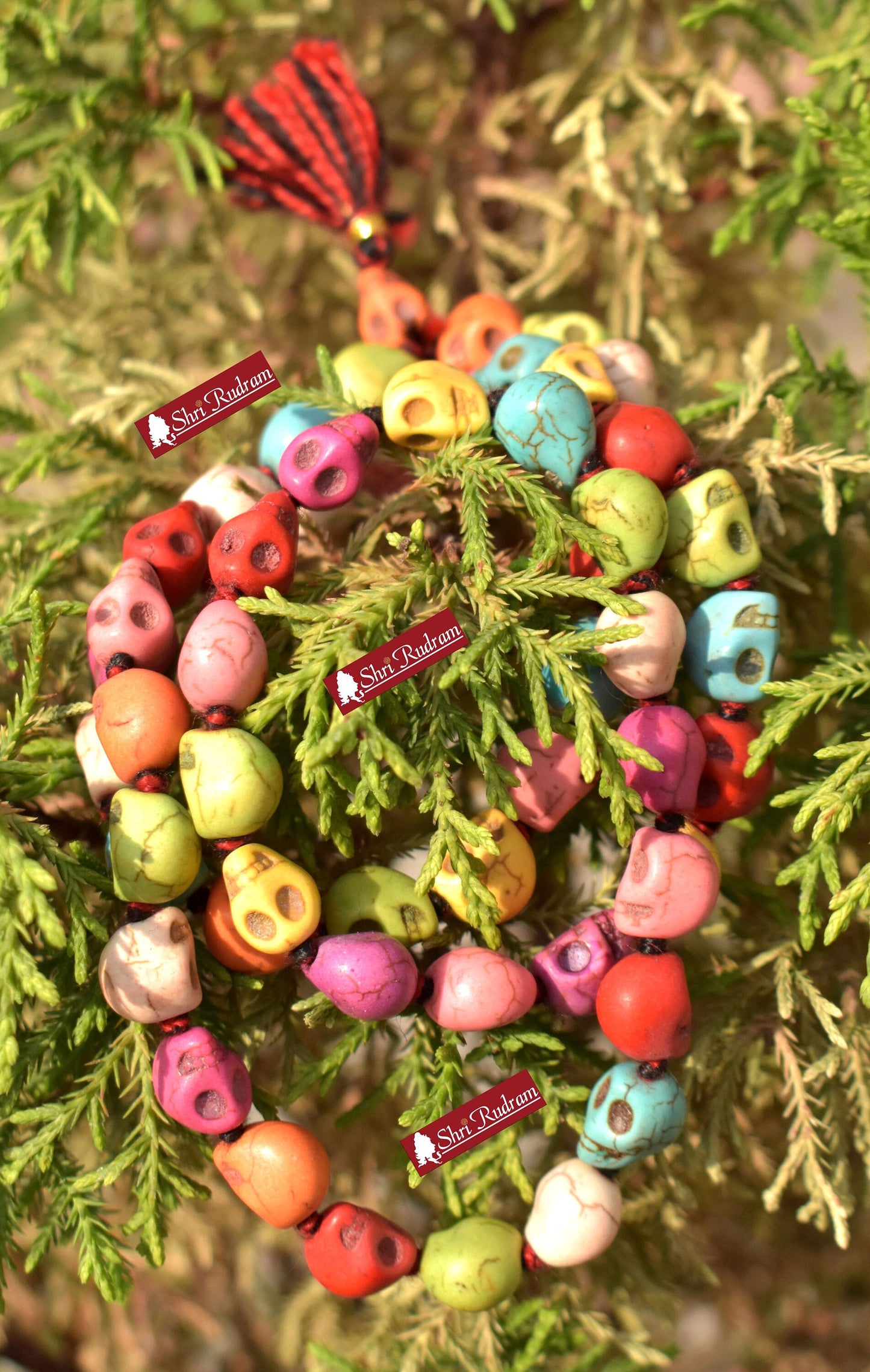 ShriRudram Skull Mala Mulricolour , Mund Necklace, Mala Beads, Yoga Gifts, Shiva  Kapala Prayer Beads, Kali Mala, Mund Mala 54+1 Breads