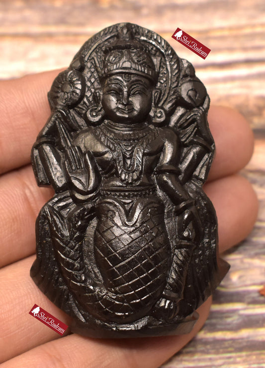 ShriRudram Matsya Murti / Matasya Statue Idol Carved on Sudarshan Shaligram Gandaki Nepal MS145