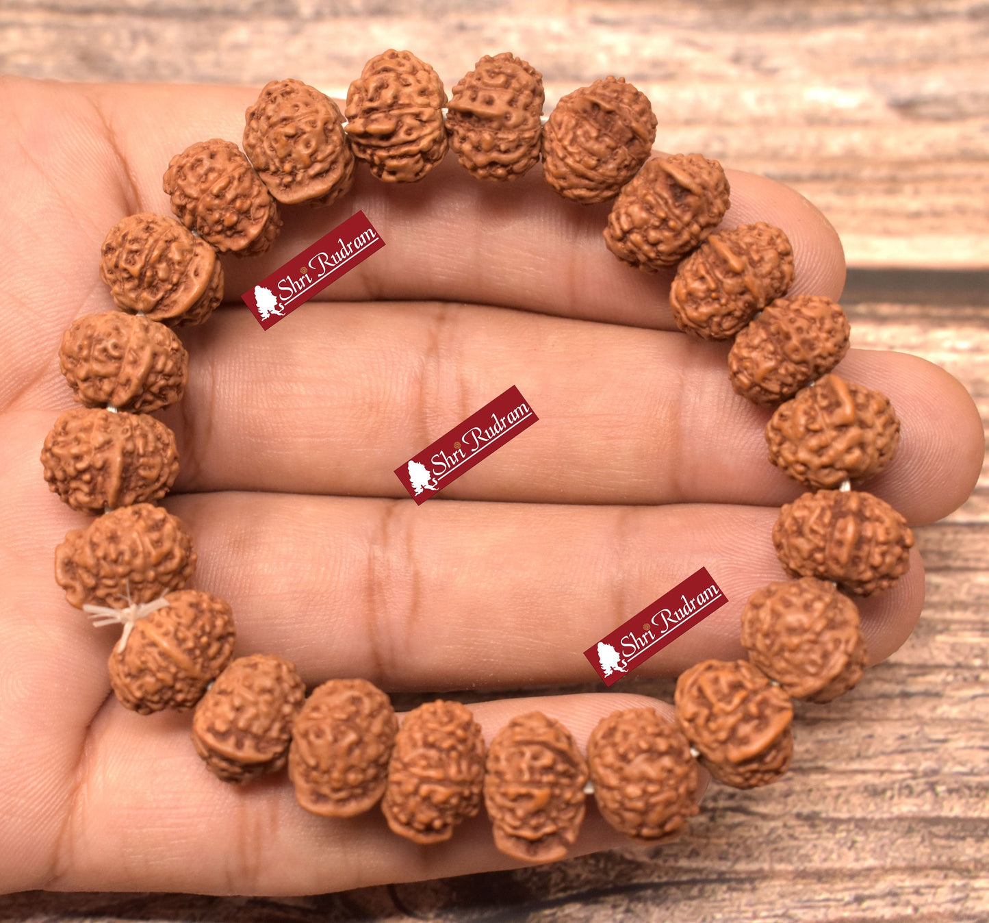 ShriRudram Ganesh Rudraksha Bracelet / Ganesha Rudraksh Wristlet Java Bead Lab Certified 11-12 MM