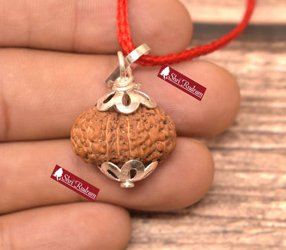 ShriRudram 14 Mukhi Rudraksha / Fourteen Face Rudraksh Java Bead Lab Certified 21.52 MM