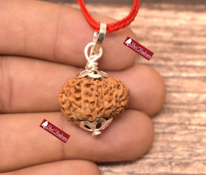 ShriRudram 12 Mukhi Rudraksha / Twelve Face Rudraksh Java Bead Lab Certified 21.68 MM