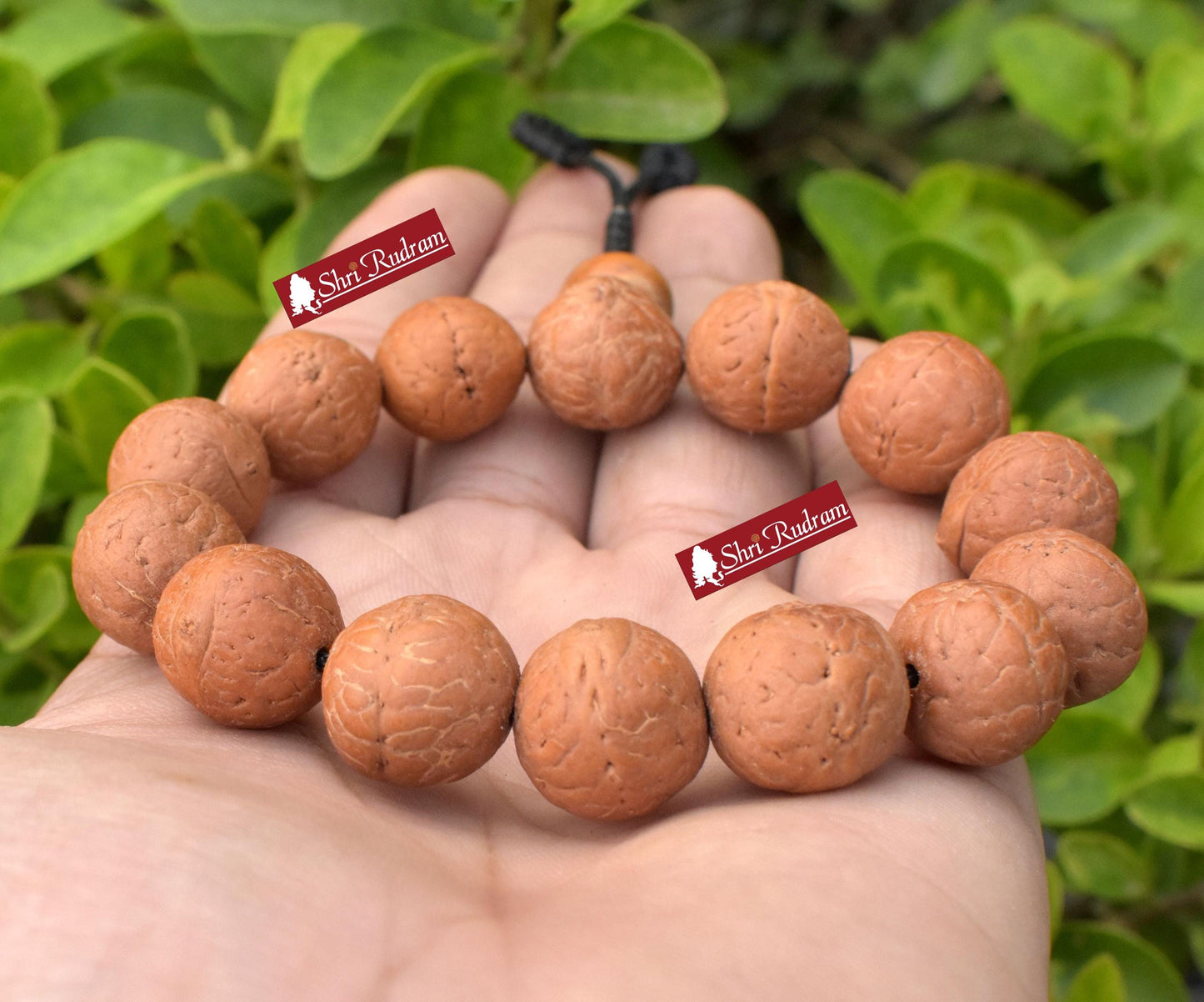 ShriRudram Nepali Bodhi bracelet, Nepali Bodhi, Bodhi seed bracelets, Meditation Buddha, Buddhist yoga, Meditation jewelry, Handmade jewelry