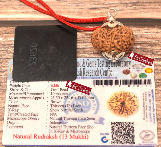 ShriRudram 13 Mukhi Rudraksha / Thirteen Face Rudraksh Java Bead Lab Certified 25.50 MM