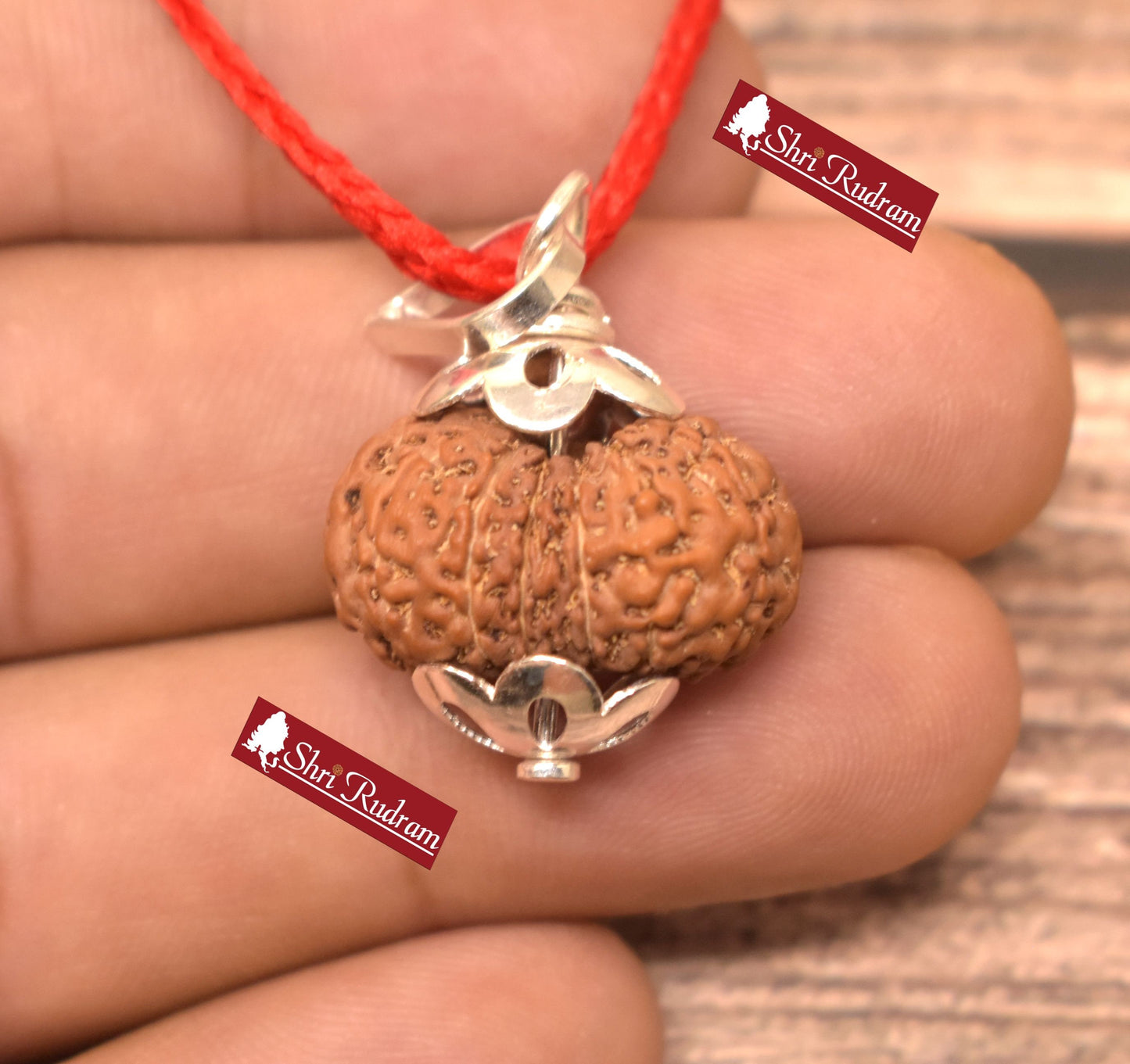 ShriRudram 14 Mukhi Rudraksha / Fourteen Face Rudraksh Java Bead Lab Certified 21.52 MM