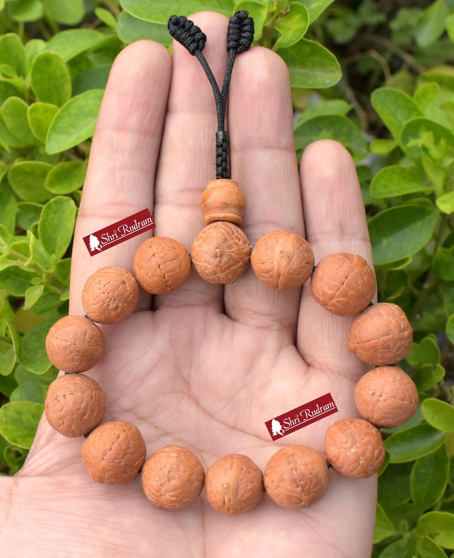 ShriRudram Nepali Bodhi bracelet, Nepali Bodhi, Bodhi seed bracelets, Meditation Buddha, Buddhist yoga, Meditation jewelry, Handmade jewelry