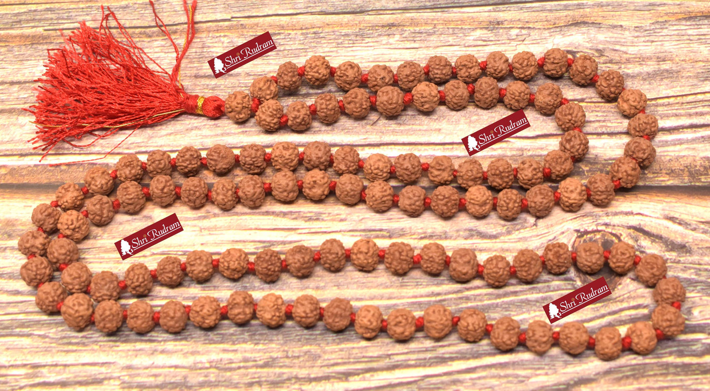 Shri Rudram Nirakar Rudraksha Mala / 0 Face Rudraksh Rosary Faceless Java Lab Certified 108+1 Beads