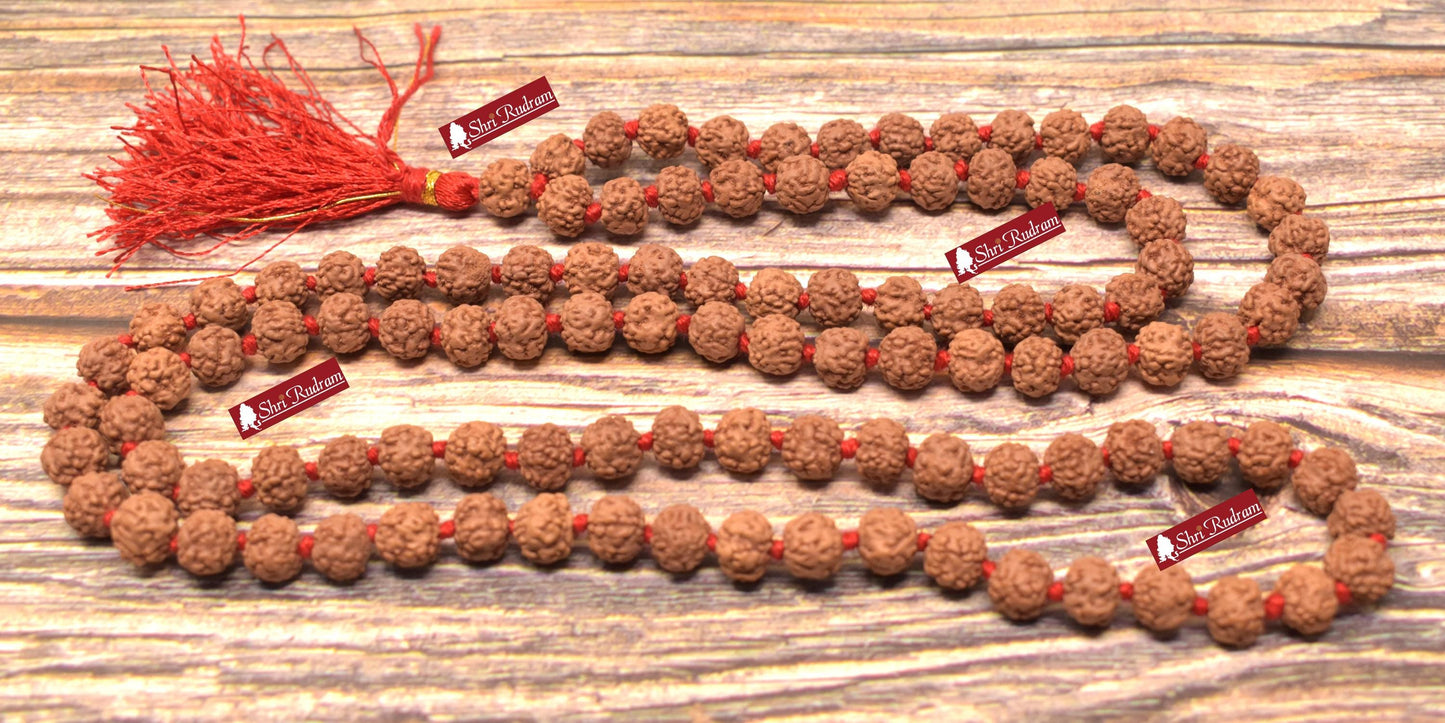 Shri Rudram Nirakar Rudraksha Mala / 0 Face Rudraksh Rosary Faceless Java Lab Certified 108+1 Beads