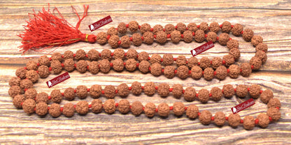 Shri Rudram Nirakar Rudraksha Mala / 0 Face Rudraksh Rosary Faceless Java Lab Certified 108+1 Beads