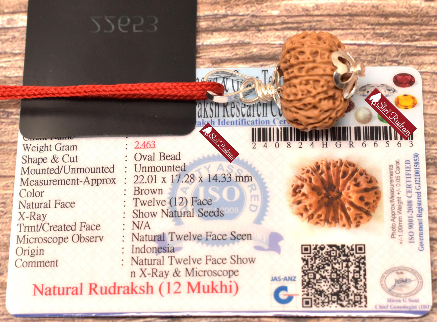ShriRudram 12 Mukhi Rudraksha / Twelve Face Rudraksh Java Bead Lab Certified 22.01 MM