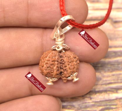 ShriRudram Gauri Shankar Rudraksha / Gouri Sankar Rudraksh Java  Bead Lab Certified 16.64 MM