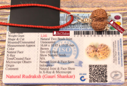 ShriRudram Gauri Shankar Rudraksha / Gouri Sankar Rudraksh Java  Bead Lab Certified 16.64 MM