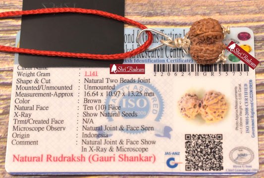 ShriRudram Gauri Shankar Rudraksha / Gouri Sankar Rudraksh Java  Bead Lab Certified 16.64 MM