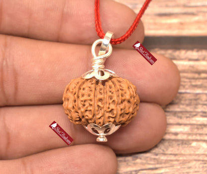 ShriRudram 12 Mukhi Rudraksha / Twelve Face Rudraksh Java Bead Lab Certified 22.01 MM