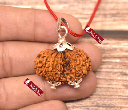 ShriRudram 13 Mukhi Gauri Shankar Rudraksha / Thirteen Face Gouri Sankar Rudraksh Nepal Bead Lab Certified 29.56 MM