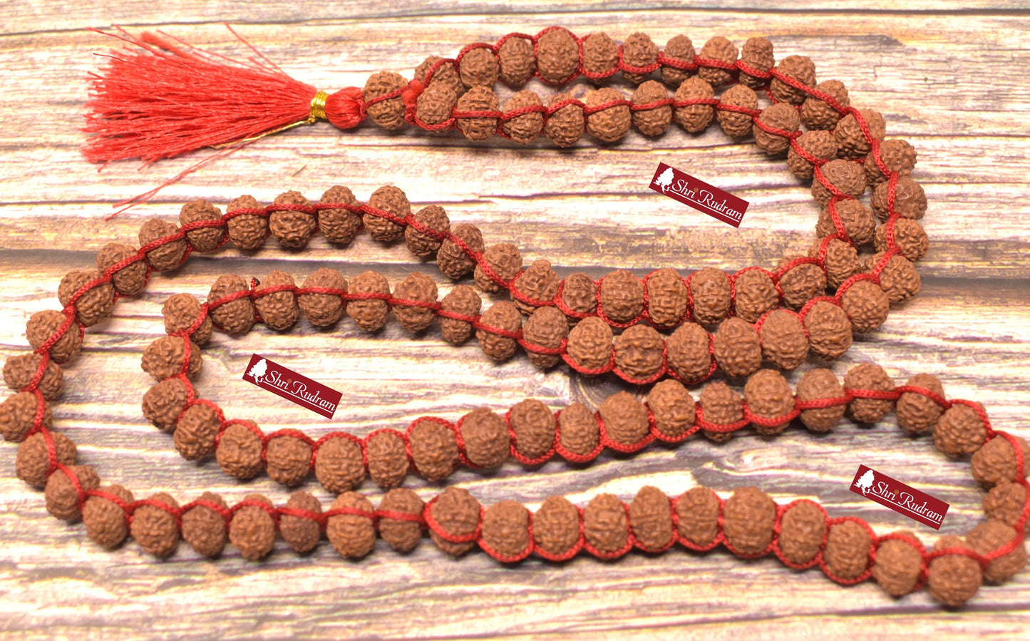 ShriRudram 11 Mukhi Rudraksha Mala / Eleven Face Rudraksh Rosary Java Lab Certified 108+1 Beads 10 MM D27