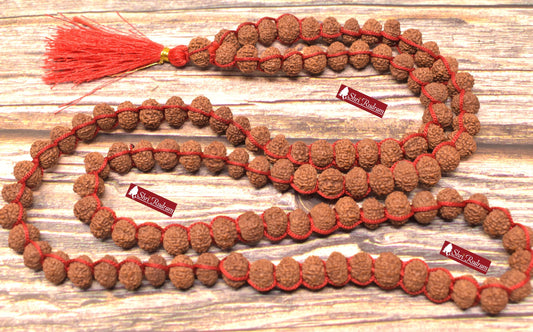 ShriRudram 11 Mukhi Rudraksha Mala / Eleven Face Rudraksh Rosary Java Lab Certified 108+1 Beads 10 MM D27