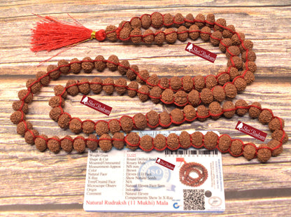 ShriRudram 11 Mukhi Rudraksha Mala / Eleven Face Rudraksh Rosary Java Lab Certified 108+1 Beads 10 MM D27